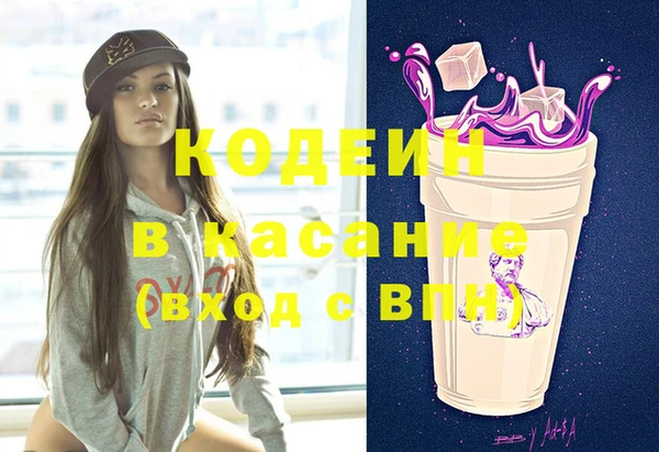 шишки Каменногорск