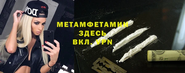 шишки Каменногорск