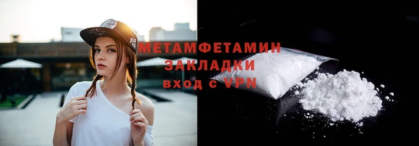 шишки Каменногорск