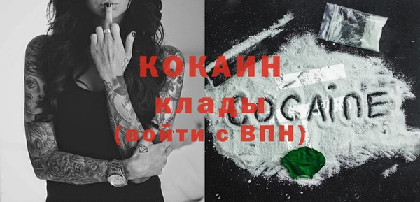 Альфа ПВП Каменка