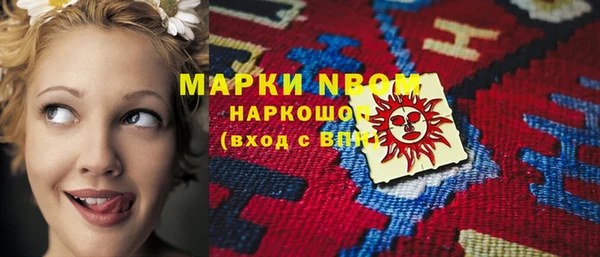 шишки Каменногорск