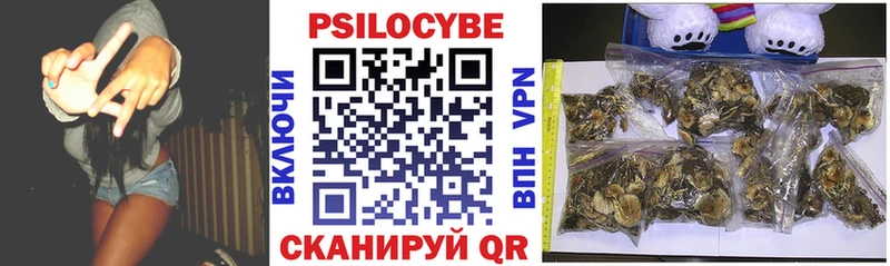 Галлюциногенные грибы Magic Shrooms  Купить где  Чехов 